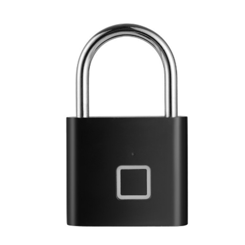 Thumbprint Pad Lock